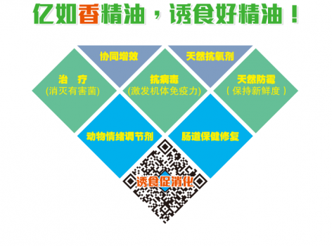 【聚焦精油】?jī)|如：堅(jiān)持為行業(yè)提供用得起、用得好的精油產(chǎn)品
