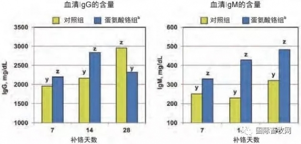 鉻元素在豬營養(yǎng)中的應用（上）