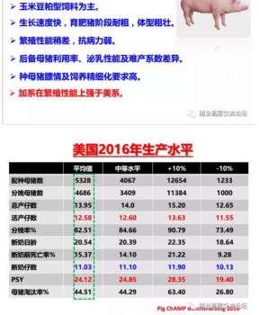 丹系VS美系母豬營(yíng)養(yǎng)及飼喂差異_03.png