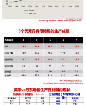 丹系VS美系母豬營(yíng)養(yǎng)及飼喂差異_05.png