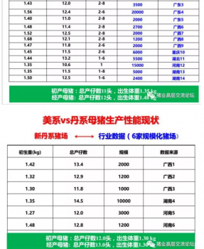 丹系VS美系母豬營(yíng)養(yǎng)及飼喂差異_06.png