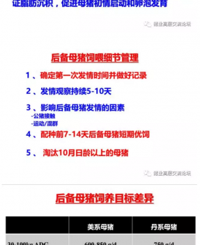 丹系VS美系母豬營(yíng)養(yǎng)及飼喂差異_16.png
