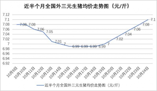 豬價連漲7天！專家稱談新一輪“豬周期”要來仍為時尚早！