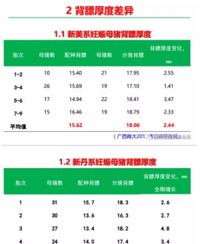 丹系VS美系母豬營(yíng)養(yǎng)及飼喂差異_01.png