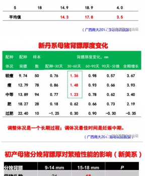 丹系VS美系母豬營(yíng)養(yǎng)及飼喂差異_02.png