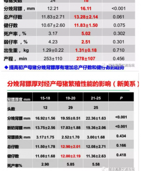 丹系VS美系母豬營(yíng)養(yǎng)及飼喂差異_03.png