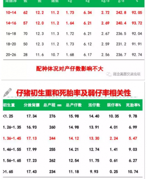 丹系VS美系母豬營(yíng)養(yǎng)及飼喂差異_06.png