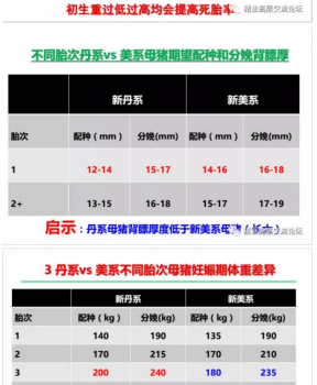 丹系VS美系母豬營(yíng)養(yǎng)及飼喂差異_07.png