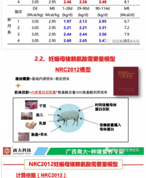 丹系VS美系母豬營(yíng)養(yǎng)及飼喂差異_11.png