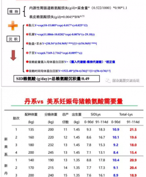 丹系VS美系母豬營(yíng)養(yǎng)及飼喂差異_12.png