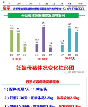 丹系VS美系母豬營(yíng)養(yǎng)及飼喂差異_13.png