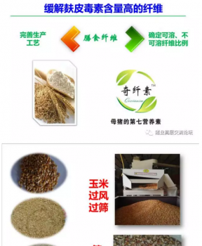 丹系VS美系母豬營(yíng)養(yǎng)及飼喂差異_18.png