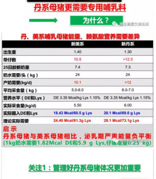 丹系VS美系母豬營(yíng)養(yǎng)及飼喂差異_06.png