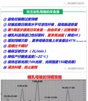 丹系VS美系母豬營(yíng)養(yǎng)及飼喂差異_10.png