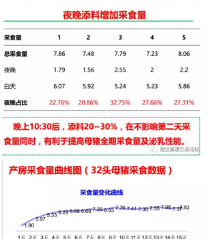 丹系VS美系母豬營(yíng)養(yǎng)及飼喂差異_12.png