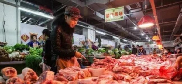 央廣網(wǎng)：11月底豬價(jià)將再迎來一波上漲，養(yǎng)戶可伺機(jī)而動(dòng)！