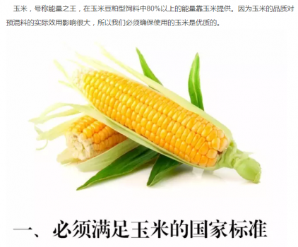 必須知道的什么樣的玉米喂豬最好_01.png