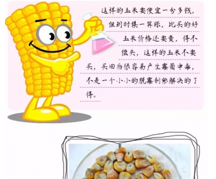 必須知道的什么樣的玉米喂豬最好_14.png