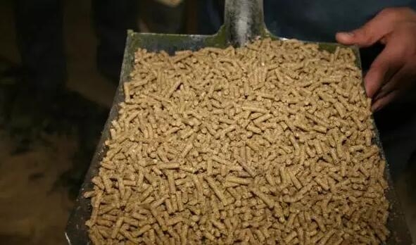 顆粒飼料加工質(zhì)量的檢測