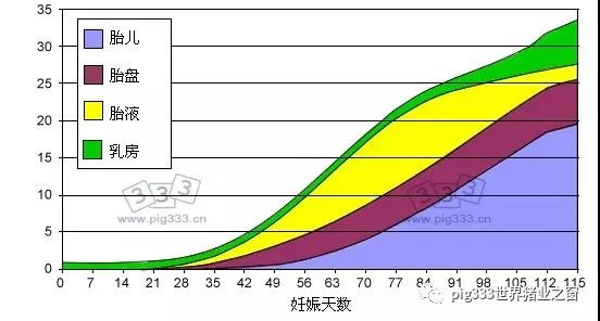 豬的營養(yǎng) - 控制好青年母豬的體重和背膘厚可以提高母豬一生的生產(chǎn)性能