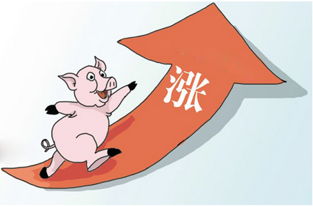 十二月份豬價(jià)反彈的力度和可能性或大幅提升