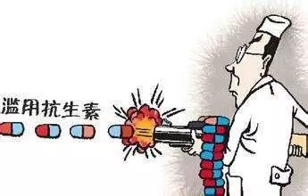 豬用抗生素，保健還是治療？
