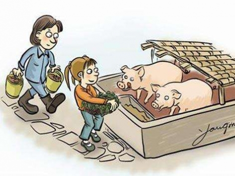 專家：征收環(huán)保稅的同時應(yīng)對養(yǎng)殖業(yè)給予補貼