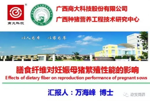 萬海峰博士：膳食纖維對(duì)妊娠母豬繁殖性能的影響
