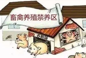 農(nóng)業(yè)部：部分地區(qū)劃定禁養(yǎng)區(qū)沒有嚴(yán)格落實(shí)有關(guān)規(guī)定