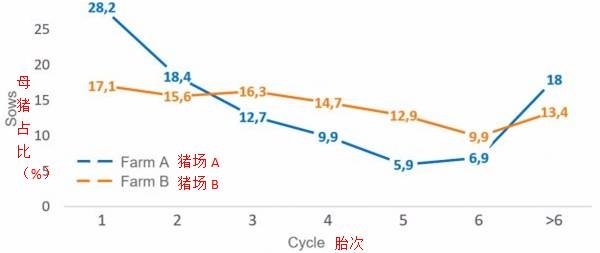 如何減少后備母豬更新率、維持較好的胎齡結(jié)構(gòu)？