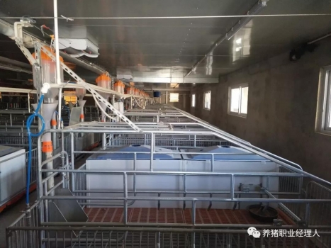 技術前沿 | 15萬頭線高效豬場規(guī)劃設計（1）