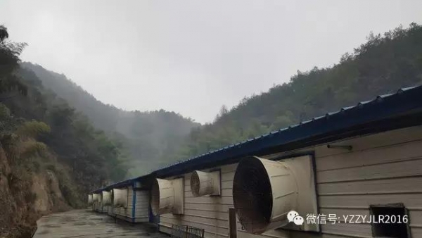 技術前沿|15萬頭線高效豬場規(guī)劃設計（2）