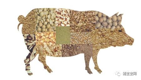 從三年豬價和糧價關(guān)系，推測2018豬價走勢