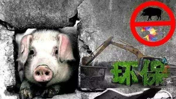 農(nóng)業(yè)部此文件一出，農(nóng)村養(yǎng)殖戶心里就有了底