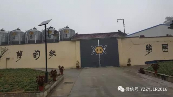 技術前沿|15萬頭線高效豬場規(guī)劃設計（3）