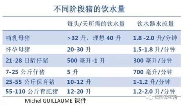 技術(shù)控 | 如何增加哺乳母豬的飲水量？
