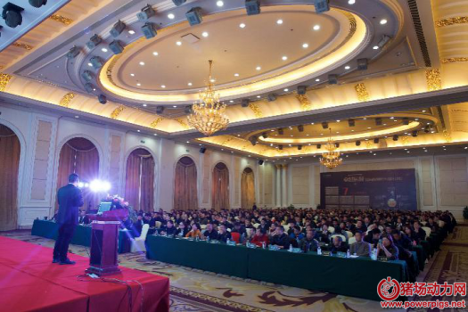 印遇龍：豬場生產(chǎn)成績提不上去、發(fā)病率高，多半是因?yàn)檫@個(gè)！