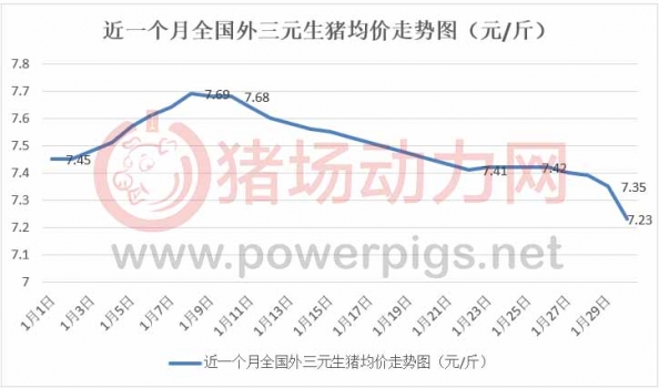 豬價(jià)跌瘋了！別急，2月仍有上漲機(jī)會(huì).....