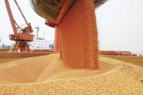 四川工業(yè)飼料產量突破1100萬噸