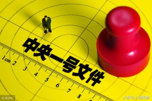 一號(hào)文件對(duì)2018年養(yǎng)豬業(yè)產(chǎn)生的12點(diǎn)影響