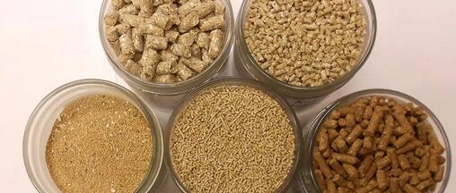 動(dòng)物飼料配方纖維基質(zhì)秘密揭露