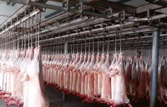 最新消息！這26家企業(yè)被取消生豬定點(diǎn)屠宰資格（附名單）