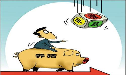 豬價(jià)暴跌，物價(jià)局發(fā)布生豬價(jià)格預(yù)報(bào)預(yù)警