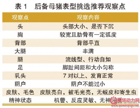 后備母豬的引種、馴化、飼養(yǎng)、營(yíng)養(yǎng)