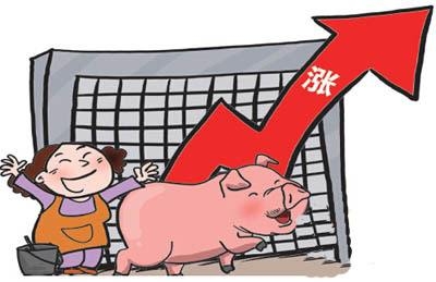 豬價(jià)止跌進(jìn)入觀望階段 我國豬市短期底部或已探明