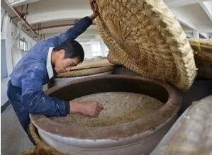 飼料發(fā)酵為何被列入十三五發(fā)展重點，發(fā)酵飼料有何用處？