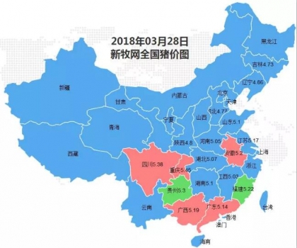 豬價上漲范圍擴(kuò)大！農(nóng)業(yè)農(nóng)村部：年內(nèi)不存在長期下跌基礎(chǔ)！