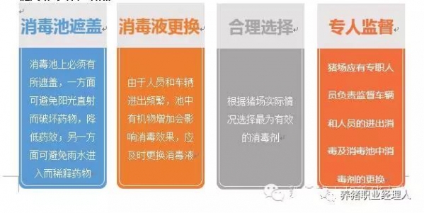 前沿技術(shù) | 豬場成功實現(xiàn)偽狂犬凈化的關(guān)鍵措施