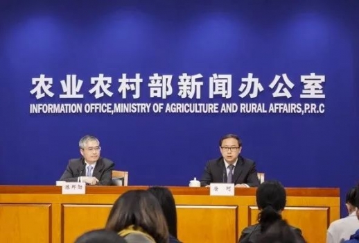 生豬存欄、能繁母豬雙雙反彈，豬價走勢會如何？央視、農業(yè)農村部齊發(fā)聲！