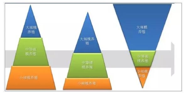 飼料行業(yè)景氣向上，2018年中國飼料行業(yè)發(fā)展趨勢分析